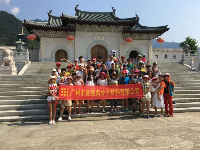 Wholesale PSAF Free Water Repellent Waterproof for Fabric Leather Furniture Protector Furniture Care Waterproof Spray 16