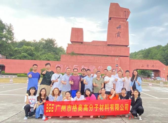 Wholesale PSAF Free Water Repellent Waterproof for Fabric Leather Furniture Protector Furniture Care Waterproof Spray 18